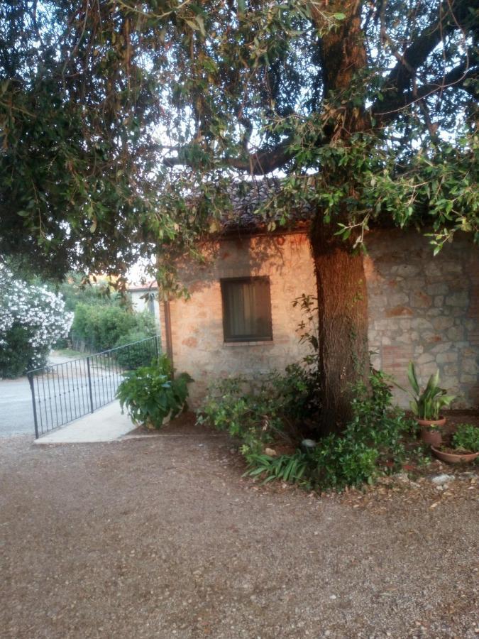 Case Cordovani Magliano in Toscana Exterior foto