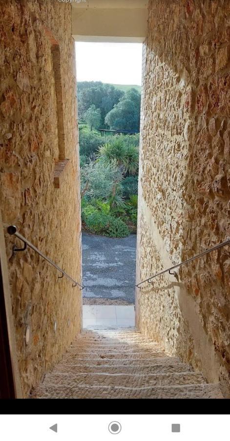 Case Cordovani Magliano in Toscana Exterior foto