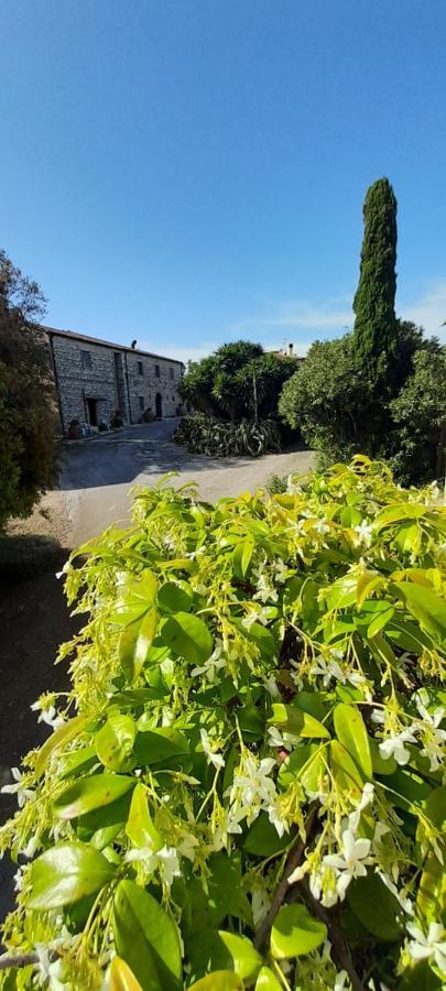 Case Cordovani Magliano in Toscana Exterior foto