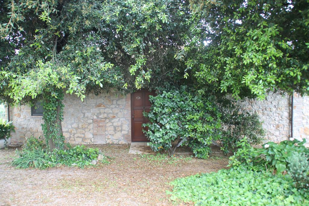 Case Cordovani Magliano in Toscana Exterior foto