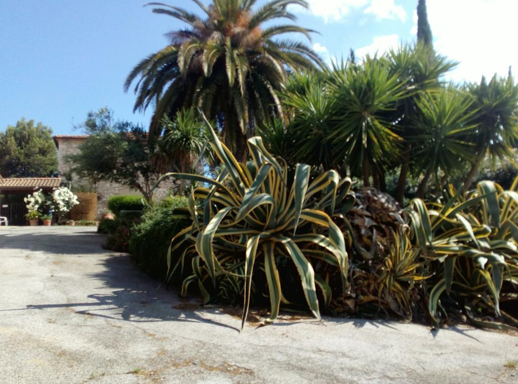 Case Cordovani Magliano in Toscana Exterior foto