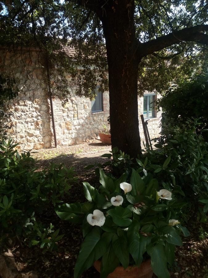 Case Cordovani Magliano in Toscana Exterior foto