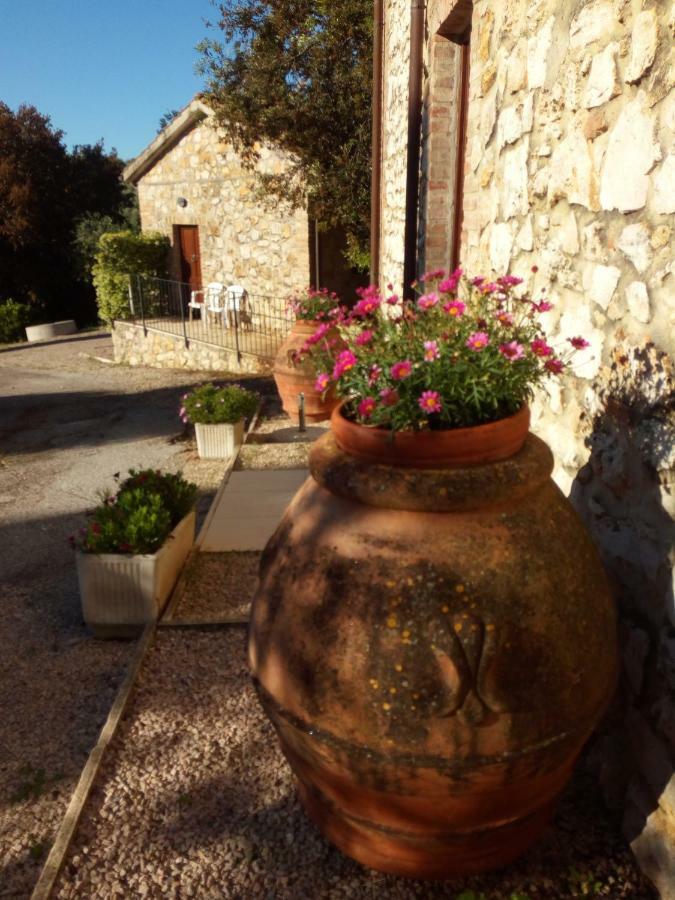 Case Cordovani Magliano in Toscana Exterior foto
